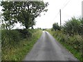 H1509 : Road at Lisnatullagh by Kenneth  Allen
