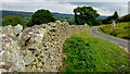 Drystone wall by the lane to Hullockhowe