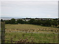 Fields near Trelogan