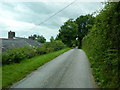 Road alongside Bryn Farm, near Llanpumsaint