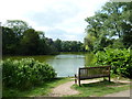 An August afternoon in Moseley Park (7)