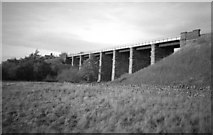 SD9153 : Gargrave:  Railway viaduct over River Aire by Dr Neil Clifton