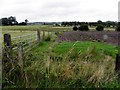 Fields along Camlough Road