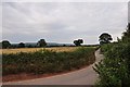 Mid Devon : Country Road