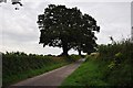 ST0712 : Mid Devon : Country Road by Lewis Clarke