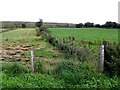 Fields at Cruckaclady