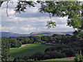 Woodseats farmland