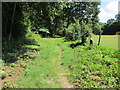 Path to West Chiltington Road