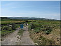 Entry onto West Rise Marsh