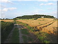 Bridleway leading over Harborough Hill, near Blakedown