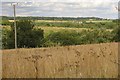 Arable fields by Ashford Mill Farm