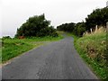 C3123 : Narrow road on Inch Island by Kenneth  Allen