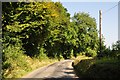 Mid Devon : Country Lane