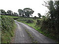 H6310 : Cul-de-sac road in Killyrue Townland south of Cootehill by Eric Jones