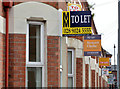 "To let" signs, Belfast (2013)