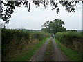 Rural lane in Herefordshire