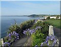 SW8131 : The sea front at Falmouth by Steve  Fareham
