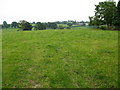 Fields west of Ifton Hall