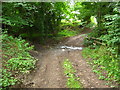 Ford through stream bed