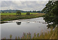 SD7037 : A weir on the River Ribble by Ian Greig