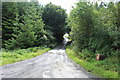 Road to Maybole at Ladycross Wood