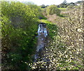 Waterlogged track near Furnace Road, Pembrey