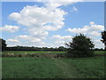 Footbridge on a footpath near Little Moor Common