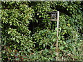 A very overgrown Druids Lane sign