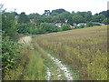 Path alongside Rectory Lane