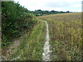 Path alongside Rectory Lane