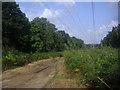 Cleared area for pylons on Esher Common