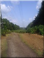 Cleared area for pylons on Esher Common