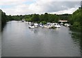 River Thames: Upstream of Temple Footbridge