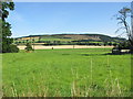 Fields north of Marybank