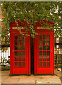 Pair of K2 telephone boxes, Battersea