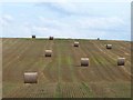 Straw bales on Bratchet Hill