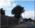 Town Lane looking towards High Street Stanwell