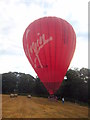 Balloon touch down in a field near Lowley Wood