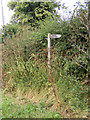 TG2705 : Bridleway sign by Geographer