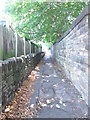 Footpath - Willans Road