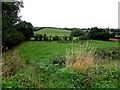 Racane Townland