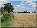 Recently harvested wheat field near Baker