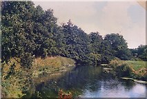 TG2105 : River Yare Marston Marshes by David Leeming
