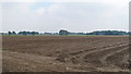 Tilled arable land near Gable Farm, Aingers Green