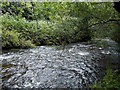 Rhondda Fach viewed from a riverside track, Tylorstown