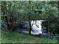 White water in the Rhondda Fach near Ferndale