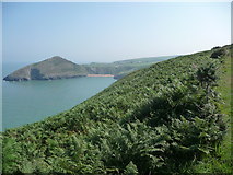 SN1851 : View to Mwnt Beach from the coastal path by Jeremy Bolwell