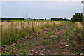 Track into fields off Highstreet Road