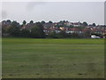 Playing field on Gladstone Park