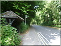 Bus shelter on Tadworth Street, Tadworth